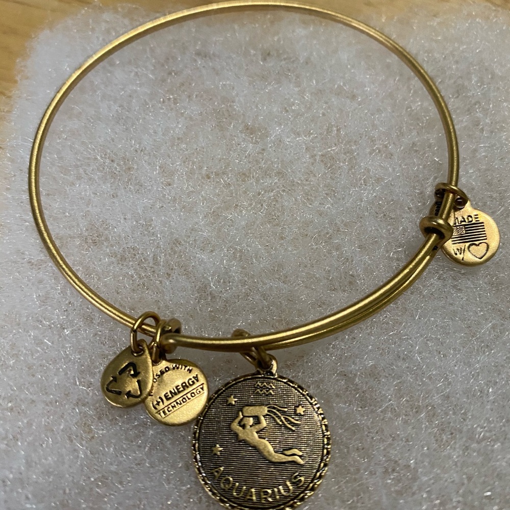 Alex and Ani Aquarius Bracelet